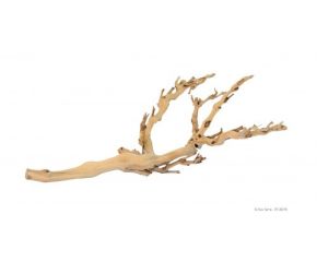 Exo Terra Forest Branch M