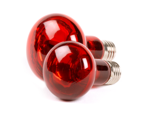 RepTech Infrarood Lamp 40W